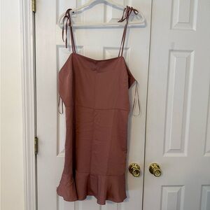 Express Dusty Rose Smocked Dress